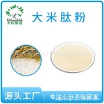大树小分子活性肽大米肽原料肽粉食品级小包装肽粉工厂可代发