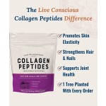 Premium Hydrolyzed Collagen Peptides Powder for Hair Skin Nails and Joints with Type I & III Collagen Support