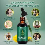 OEM Lungs Lung Cleanse and Phlegm Support Fast Absorption Mullein Leaf Extract Mullein Drops