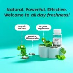 OEM Service Body Chlorophyll Capsules Deodorant Supplement Deodorant Capsules Price Concessions Support Energy Health