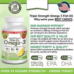 Fish Oil Softgel Capsules Wholesale Heart Support EPA DHA Fish Oil Omega 3 Softgel Brain Health Fish Oil Capsule