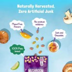 Herbal Supplements Mushroom Gummies Organic Mushroom Blend Powder 8-IN-1 Lion's Mane Mushroom Gummies