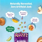Vegan Lion's Mane Mushroom Gummy Candy Growth Change Visual Health Supplement Brain Development