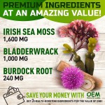 Customized Organic Vegan Sea Moss Gummies with Bladderwrack and Burdock Root for Immune Support and Vitality