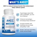 Organic AHCC Mushroom Extract Capsules 60Pcs - 500mg Immune Support & White Blood Cell Activity