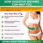 Digestive Enzyme Capsules Prebiotic Probiotic Supplements Organic Plant Digestive Lactose Capsules 1000 mg Vegetarianism
