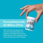 Probiotics Capsules 60 Billion CFU  Digestive Gut Health Probiotics Supplement for Women & Men