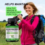 Elderberry Vitamin Mineral Zinc Support Immune and Antioxidant Elderberry Vegetable Capsules Vegetarians