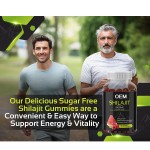 Organic Himalayan Shilajit Gummies with Fulvic Acid - Energy Booster & Mineral Supplement for Men