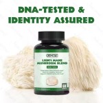 Private Label Organic Hericium Mushroom Extract Nootropics Brain Supplement Lions Mane Capsules Memory & Energy