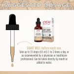 Organic Lion's Mane Mushroom Extract Liquid Drops for Immune Support and Brain Health