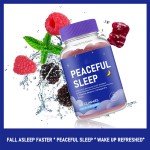 Sleep Aid Gummies with Melatonin L-Theanine Ashwagandha for Adults Fast Fall Asleep Support Sound Sleep Jet Lag Prevention