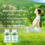 OEM/ODM Daily Health Support Chlorophyll Gummies - Detox, Boost Immunity & Healthcare Candy