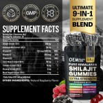 9-in-1 Shilajit Gummies with Ashwagandha & Vitamin D3 - Turmeric Ginseng Complex for Energy & Immunity