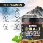 OEM Pure Himalayan Shilajit Gummies Shilajit Sea Moss Ashwagandha Burdock Root Lions Mane Mushroom Supplement with Fulvic Acid