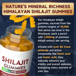OEM Vegan Private Label Organic Shilajit Gummies with Pure Gold Shilajit and Zinc for Enhanced Vitality