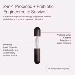 Healthy Dietary Supplements Gut Supplement Capsules Probiotic Capsules 30 Day Dosage Vitamin