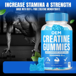OEM 5g Creatine Monohydrate Gummies for Muscle Growth - Pre Workout Energy Booster, Sugar-Free Chewable