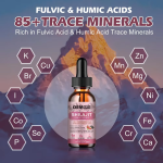 OEM Himalayan Shilajit Liquid Drops with Ashwagandha and Turmeric Antioxidant Immune Support