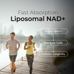 Liposomal NAD+ Drops with Resveratrol - Pharmaceutical-Grade Cellular Rejuvenation & Sirtuin Pathway Activator