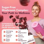 Organic Lions Mane Mushroom Gummies - Private Label OEM Supplement