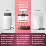 Organic Lions Mane Mushroom Gummies - Private Label OEM Supplement