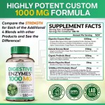 Digestive Enzyme Capsules Prebiotic Probiotic Supplements Organic Plant Digestive Lactose Capsules 1000 mg Vegetarianism