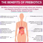 Vaginal Probiotic Gummies , Probiotics & Digestive Enzymes for Women's Urinary Tract Health