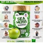 Customized Organic Vegan Sea Moss Gummies with Bladderwrack and Burdock Root for Immune Support and Vitality