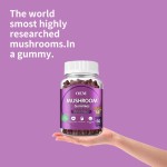 Private Label Brain Booster Mushroom Gummies for Focus Memory and Clarity with Lions Mane Cordyceps
