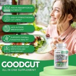 All-in-One Gut Support Capsules - Colostrum, Probiotics, L-Glutamine & Fiber for Digestive Wellness