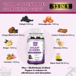 OEM Private Label Pure Himalayan Shilajit Gummies with Fulvic Acid Trace Minerals - Natural & Organic Health Supplement