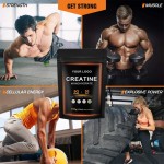 Premium Micronized Creatine Monohydrate Powder - Pure 5G/Serving for Muscle & Strength