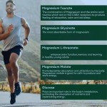 OEM High Potency Magnesium Citrate 500mg for Heart Health, Muscle Function, and Sleep Support