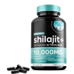 Pure Himalayan Shilajit Resin Capsules 90 Count - Energy Booster & Vitality Supplement for Men's Health