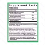 Private Label Organic Hericium Mushroom Extract Nootropics Brain Supplement Lions Mane Capsules Memory & Energy