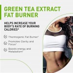 OEM Private Label Raspberry Ketone Capsules Herbal Extract for Women's Abdominal Calming Puerarin As Active Ingredient Bottled