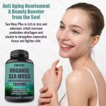Natural Organic Wild Crafted Sea Moss Capsules Sea Moss Raw Private Label Pills Healthcare Supplement