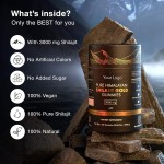 Himalayan Gold Shilajit Gummies with Ashwagandha, Energy & Stamina Booster