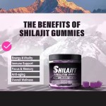 Shilajit Gummies with Fulvic Acid & Lions Mane - Pure Himalayan Supplements