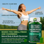 OEM Custom Label Mulberry Leaf Chlorophyll Gummies - Natural Eye Health Supplement