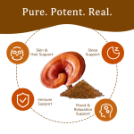 Premium Organic Lion's Mane Mushroom Capsules with 30% Beta-Glucans for Brain Health and Immune Support