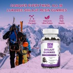 OEM Private Label Pure Himalayan Shilajit Gummies with Fulvic Acid Trace Minerals - Natural & Organic Health Supplement