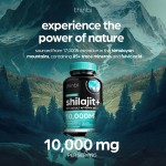 Gold Shilajit Capsules  Fulvic Acid, Natural Energy & Metabolism Support, Premium-Grade Sourced From Himalayas