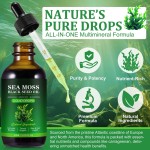 Seaweed Extract Tincture Herbal Supplement Irish Seaweed Liquid Tincture for Digestive Health Immune Health