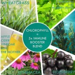 Biocaro OEM Private Label Chlorophyll Gummies for Liver Health, Immunity Boost, and Sleep Support