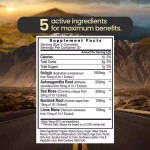 OEM Pure Himalayan Shilajit Gummies Shilajit Sea Moss Ashwagandha Burdock Root Lions Mane Mushroom Supplement with Fulvic Acid