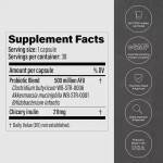 Peptides Probiotics for Weight Management Akkermansia Clostridium Bifidobacterium Chicory Inulin Prebiotic Capsules