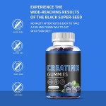 Custom Creatine Monohydrate Gummies Adult Energy Boost and Muscle Support Powder Dosage Not for Pregnant Women