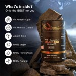 Organic Himalayan Shilajit Gummies Food Grade Supplements Individually Wrapped No Added Ingredients Original Shilajit